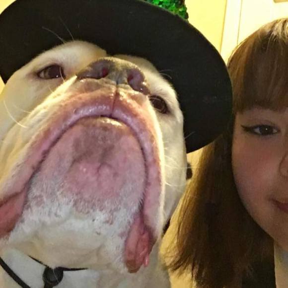 Meet your Posher, Laci - Picture 1 of 1